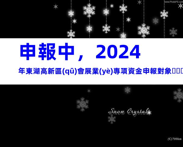 申報中，2024年東湖高新區(qū)會展業(yè)專項資金申報對象、條件